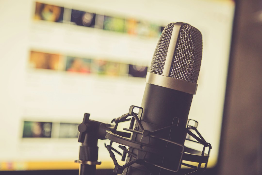 black and gray condenser microphone